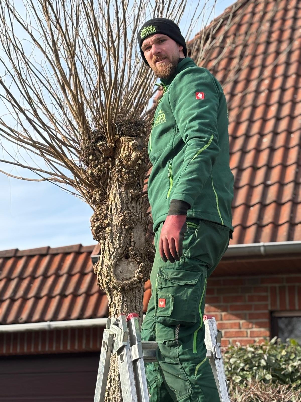Baumpflege